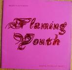 FLAMING YOUTH, 9 kunstenaars, 2000 Nouvelles Images, Ophalen of Verzenden, Zo goed als nieuw, Schilder- en Tekenkunst