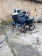 Rijtuigen, Dieren en Toebehoren, Rijtuigen en Koetsen