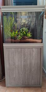 Mooi en compleet aquarium 170 liter, Ophalen, Zo goed als nieuw, Gevuld zoetwateraquarium