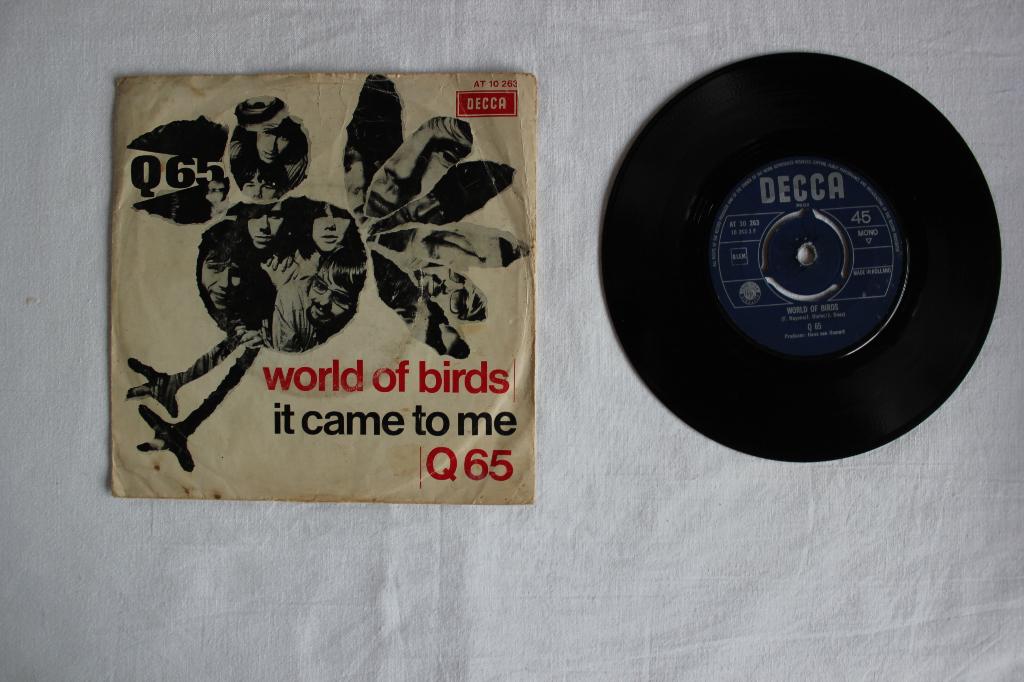 q65 - world of birds, Cd's en Dvd's, Vinyl Singles, Ophalen of Verzenden, Zo goed als nieuw, Pop