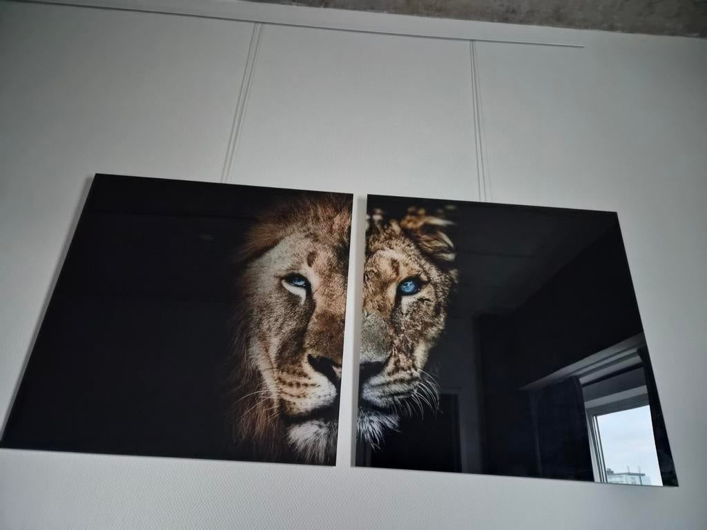 Schilderijen, Ophalen