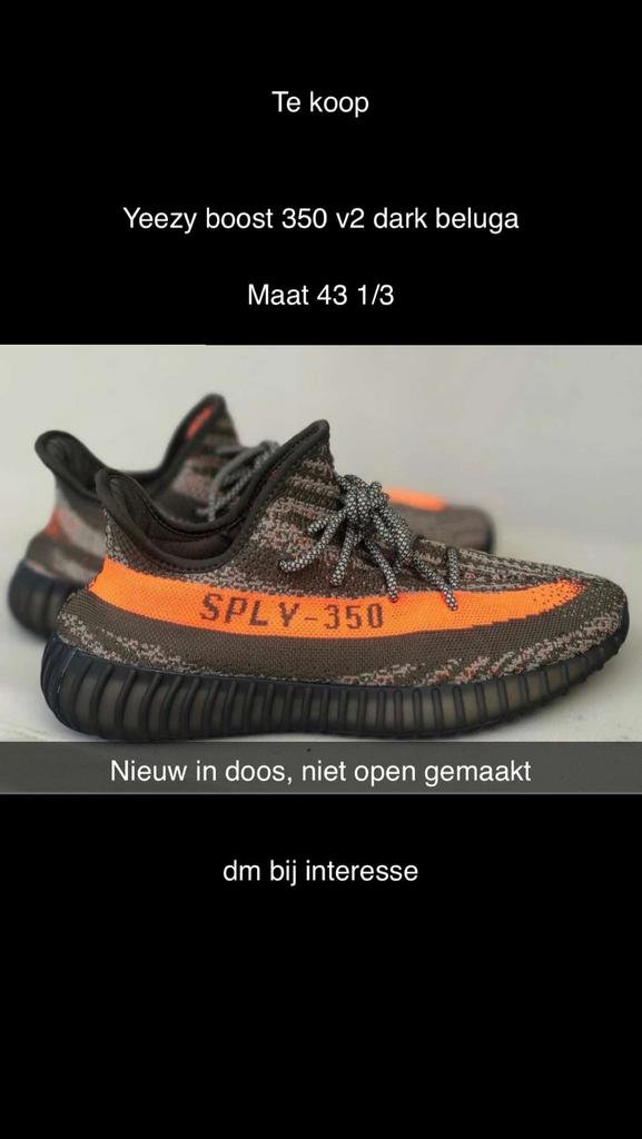 Yeezys carbon beluga, Kleding | Heren, Schoenen, Overige kleuren, Nieuw, Ophalen of Verzenden, Sneakers of Gympen