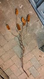 Brocante kunst distel tak, Ophalen of Verzenden