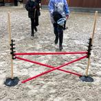 Hobby horse Hindernis set, Ophalen of Verzenden, Nieuw