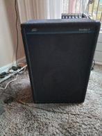 pevey  box 2 stuks in goede staat, Ophalen of Verzenden, Gebruikt