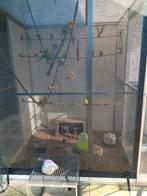 Voliere, Dieren en Toebehoren, Ophalen, Zo goed als nieuw, Aluminium, Volière