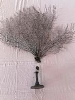 Grote Zwarte Zeewaaier Koraal Decoratie op Voet, Ophalen, Gebruikt