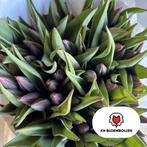 Verse paarse tulpen - 10 stelen, Huis en Inrichting, Woonaccessoires | Overige, Ophalen, Tuitjenhorn koorndijk 19, Info@khbloembollen.nl
