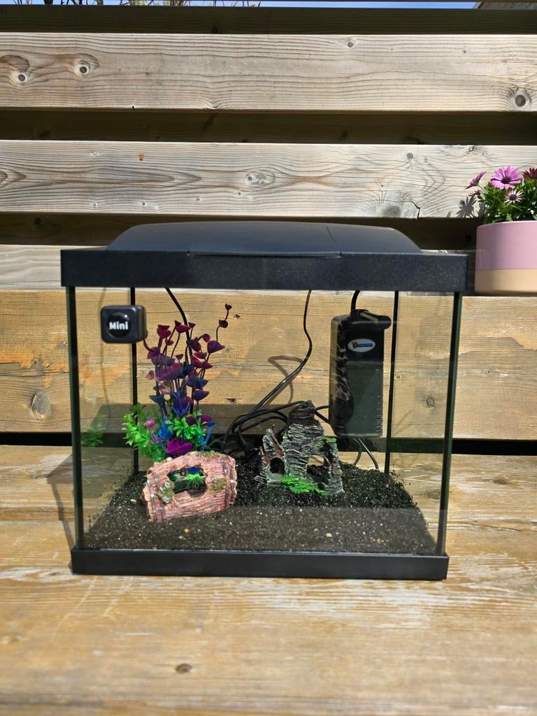 Superfish aquarium (leeg), Dieren en Toebehoren, Ophalen, Gebruikt, Leeg aquarium, Superfish