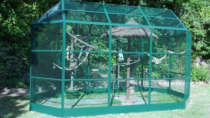 Nieuwe Voliere (vogelkooi) Roma 350x230x265cm, Dieren en Toebehoren, Meerdere dieren