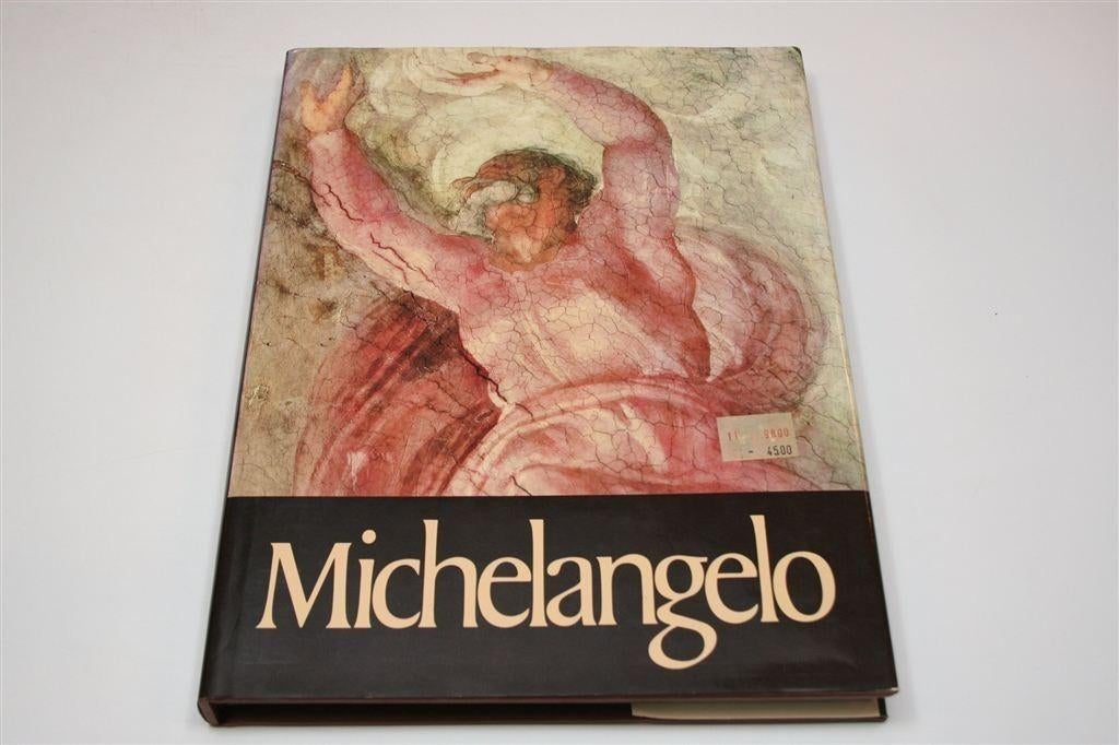 Michelangelo — Schilderijen & Beeldhouwwerk Groot Kunstboek, Ophalen of Verzenden, Gelezen