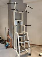 Technogym easy power station isotonic chin dip, Sport en Fitness, Ophalen, Technogym, -, -