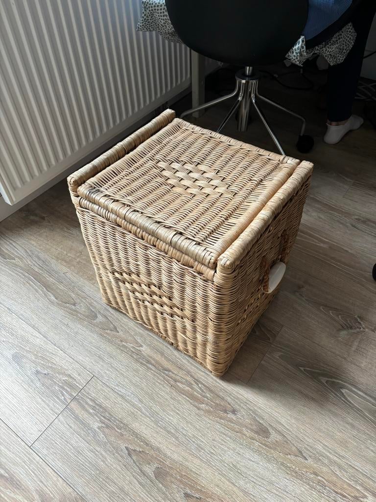 Rotan opbergkist, Huis en Inrichting, Woonaccessoires | Kisten, Ophalen, Gebruikt, Overige materialen, Minder dan 50 cm