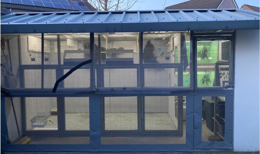 Avicultuur-LED gespecialiseerd in verlichting voor vogels, Ophalen of Verzenden, Nieuw, Overige typen