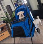Honden Buggy, Dieren en Toebehoren, Ophalen