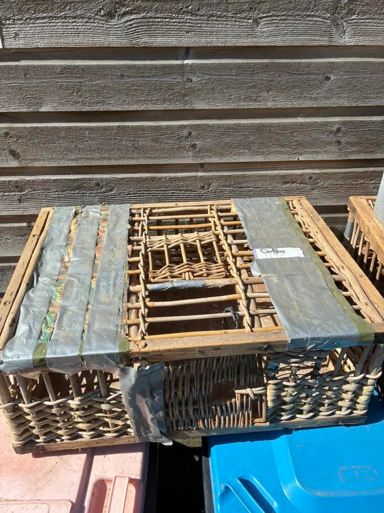 Duivenmanden 2 stuks postduiven, Meerdere dieren, Postduif