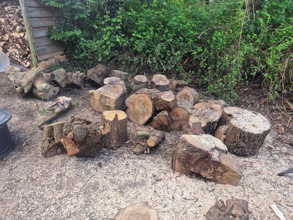 Haardhout/ boomstronken, Minder dan 3 m³, Ophalen, Stammen