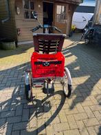 Vanraam easy rider elektrisch, Ophalen of Verzenden, Gebruikt