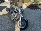 Kawasaki chopper VN 900 classic, Motoren, Cardan-aandrijving, 2 cilinders, Chopper, 900 cc
