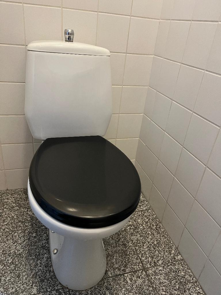 Staandtoilet Sphinx t.e.a.b, Doe-het-zelf en Verbouw, Sanitair, Ophalen, Gebruikt, Steen, Toilet
