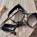 Mammut klimharnas - Comfortabel en Veilig, Sport en Fitness, Klimsport, Ophalen of Verzenden, Klimsport-accessoire