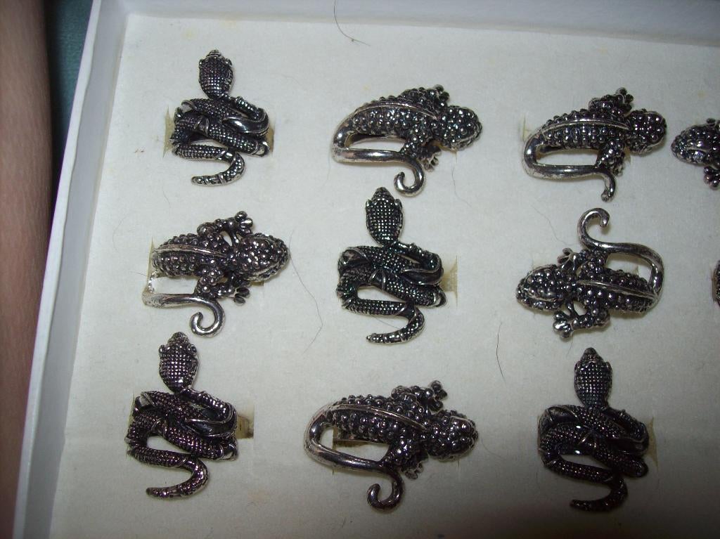 Ring Zwart/ zilvertint Hagedis of Slang verstelbaar, Nieuw, Dame, Zilver, IJzer of Staal