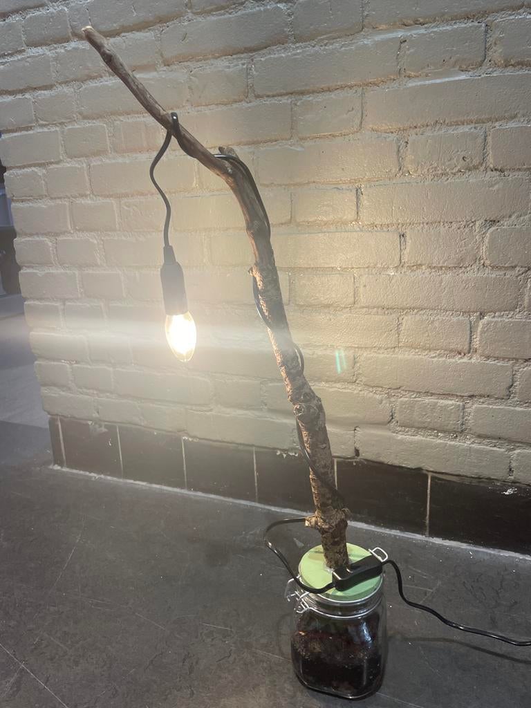 Unieke Ecosysteem Lamp - Natuurlijke Sfeer, Ophalen, Nieuw, Hout, Minder dan 100 cm