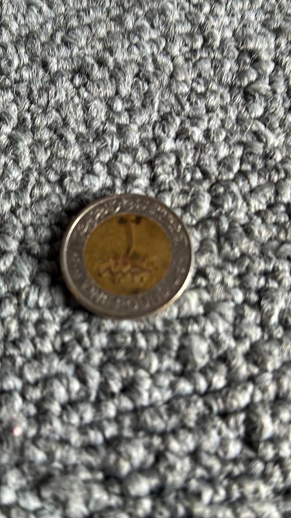 Egypte 1 pond 2008, Ophalen of Verzenden, Egypte