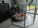 Hondenren (Dog crate) 80 CM height, Dieren en Toebehoren, Ophalen of Verzenden