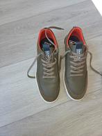 gaastra schoenen 44, Ophalen, Overige kleuren