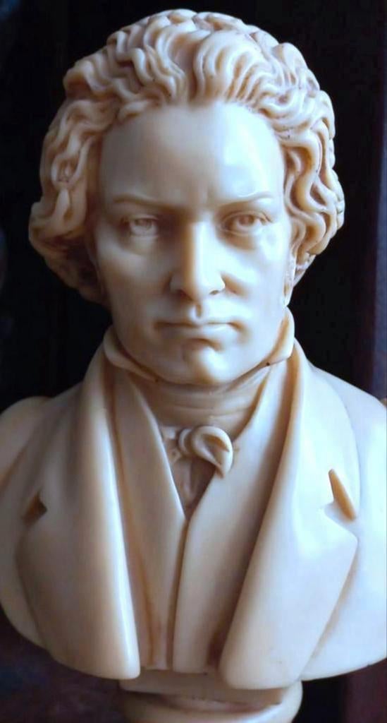 Vintage mooie grote Buste van Beethoven, Ophalen of Verzenden