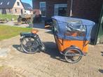 Babboe curve E bakfiets (volledig goedgekeurd), Ophalen of Verzenden, Zo goed als nieuw, 4 kinderen of meer