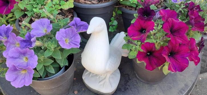 DUIF - TUINBEELD, Tuin en Terras, Tuinbeelden, Gebruikt, Dierenbeeld, Ophalen of Verzenden