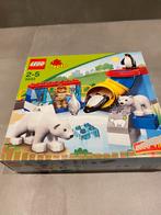 Lego Duplo pooldieren 5633, Kinderen en Baby's, Speelgoed | Duplo en Lego, Ophalen of Verzenden