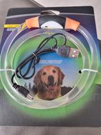 Oplaadbare led hondenhalsband. Nieuw, Dieren en Toebehoren, Honden-accessoires, Ophalen of Verzenden, Nieuw