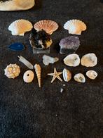 Edelstenen en schelpen., Verzenden, Mineraal