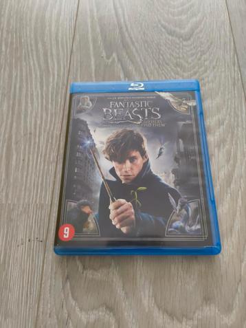 Fantastic Beasts Blu-ray beschikbaar voor biedingen