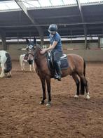 Equestrian stockholm set, Ophalen of Verzenden, Gebruikt, Dekje