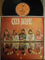 The Cats (Cats Aglow), Ophalen of Verzenden, 12 inch, Poprock