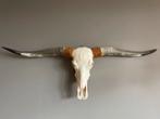 Longhorn schedel met hoorns, Ophalen, Gebruikt
