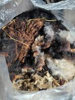 Ruwe wol schapenvacht schapenwol, Hobby en Vrije tijd, Ophalen, Gebruikt, Spinwol