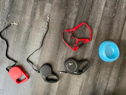 2 x flexi hondenriem voor kleinere hond + 1 honden riem zgan, Dieren en Toebehoren, Overige Dieren-accessoires, Zo goed als nieuw