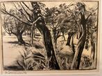 Theo Beerendonk (1905-1979) ets knotwilgen, Antiek en Kunst, Kunst | Etsen en Gravures, Ophalen of Verzenden