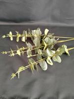 Kunst Eucalyptus takken, Huis en Inrichting, Woonaccessoires | Kunstplanten en Kunstbloemen, Ophalen of Verzenden, Nieuw, Binnen