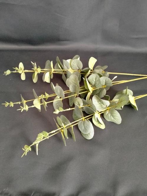 Kunst Eucalyptus takken, Huis en Inrichting, Woonaccessoires | Kunstplanten en Kunstbloemen, Nieuw, Binnen, Ophalen of Verzenden