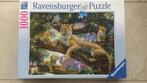 Ravensburger 5 puzzel 1000 stukjes, Ophalen of Verzenden, 500 t/m 1500 stukjes, Gebruikt
