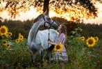 Paard en pony - unieke kans!!, Dieren en Toebehoren, Paarden, Meerdere dieren, 3 tot 6 jaar