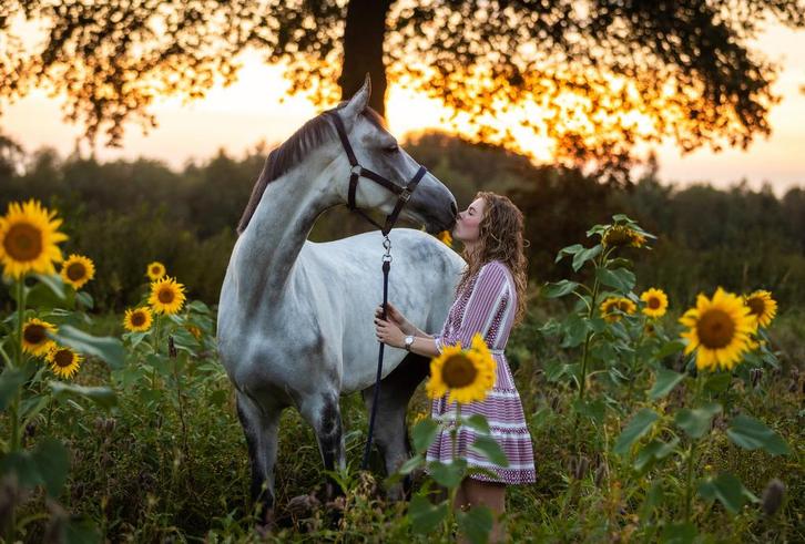 Paard en pony - unieke kans!!, Dieren en Toebehoren, Paarden, Meerdere dieren, 3 tot 6 jaar