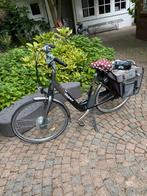Giant ebike met 4 accus, Fietsen en Brommers, Fietsen | Dames | Damesfietsen, Ophalen, Versnellingen, Giant, Zo goed als nieuw
