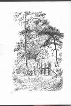 Paul Citroen=boekillustraties=1978, Ophalen of Verzenden, Gelezen, Schilder- en Tekenkunst